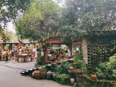 -青城甲(青城山店)