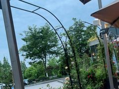 -龙猫意杯花园餐厅(芙蓉湖店)