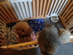 -E+有冰工厂·昆仑寒宫2(五角场店)