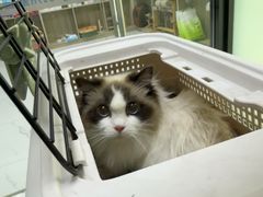 -嘉馨宠物医院·CT影像转诊·心脏科·犬猫全科诊疗中心(下沙大学城院区)