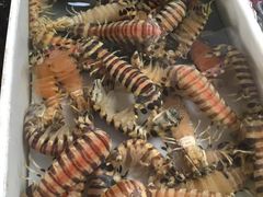 -南沙十九涌渔人码头-南门