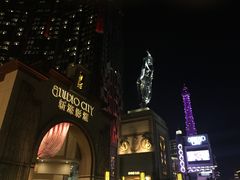 -影汇之星8字形摩天轮