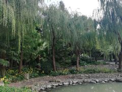 -苏州河梦清园环保主题公园