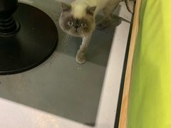-越弥越南传统美食馆
