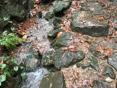 -会稽山峡洞漂流-上青古道