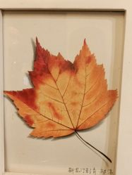 -新龙门刺青·纹身