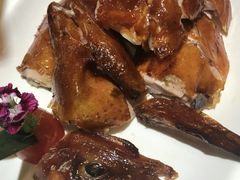 -金穗园·砂锅粥.醉鸡煲火锅(长寿路店)