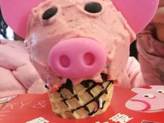 -野人先生现做冰淇淋(北京顺义祥云小镇店)