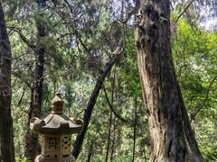 -七曲山风景区