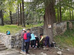 -阳台山自然风景区