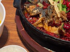 -老板恋上鱼(恒隆广场店)