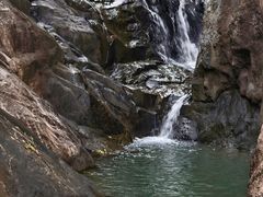 -广州白江湖森林公园