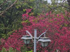 -乌山风景区