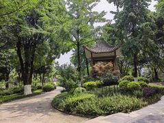 -大渡口区义渡公园