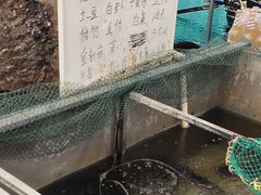 -铁锅炖灶台鱼老三炖鱼馆