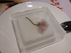-糖糖屋•糖水•雪花冰店(时尚天河店)