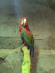 -Zoolung Zoolung动物主题公园(海信广场店)