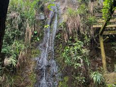 -大雁山风景区