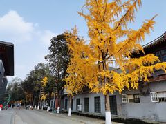 -四川大学(华西校区)