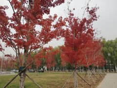 -沈阳职业技术学院