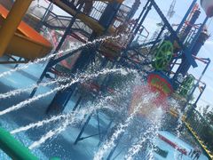 景点小孩子玩的一个超级刺激的项目-苏州乐园森林水世界