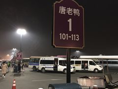 -迪士尼乐园停车场