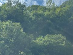 -仙人谷漂流景区