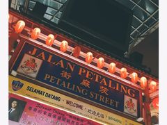 -罗汉果龙眼冰糖燉冬瓜
