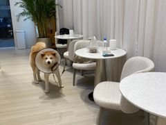 -YCHL Studios健身工作室(市二宫店)