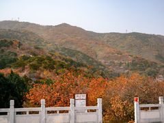 -北京西山国家森林公园