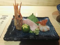 -鲤·鮨KOISUSHI