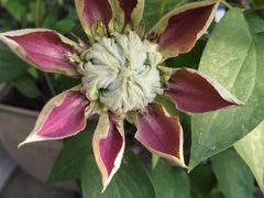 -斯多格书乡(北京大学畅春园店)