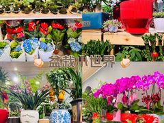-南汇花鸟市场(上海浦东新花卉店)