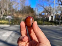 -秋栗香(地安门店)