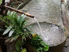 -乐领拈花溪·林涧食韵