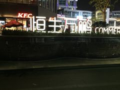 -恒生万鹂广场(唐镇店)