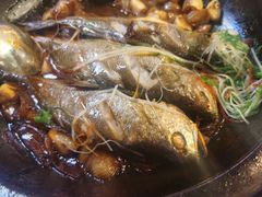-有喜胶东小馆(超极合生汇太申祥和店)