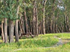 -野鸭湖国家湿地公园