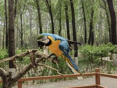 -北京野生动物园