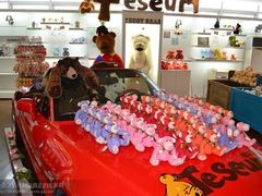 -济州岛泰迪熊博物馆