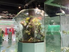 -上海大自然野生昆虫馆(东方明珠·爬宠昆虫探索中心)