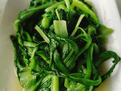 -云中小雅