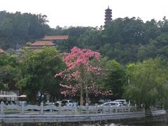 -南沙天后宫景区