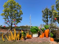 -光明小镇欢乐田园