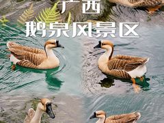 -靖西鹅泉风景区