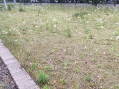 -西湖风景区-江洋畈生态公园