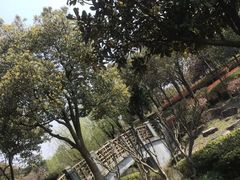 -宁波九龙湖开元度假村