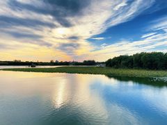 -大兴滨河森林公园