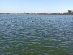 -滴水湖