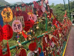 -西双版纳原始森林公园
